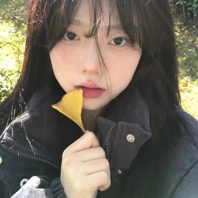孤高的手术刀
