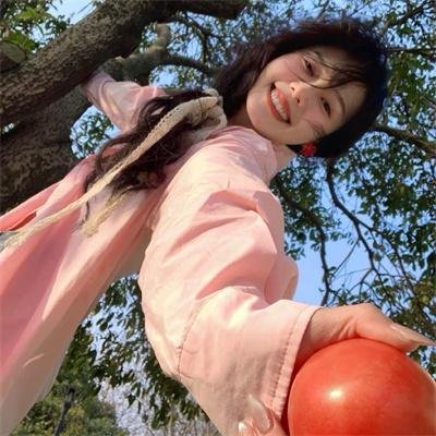 蒂科与鲨鱼